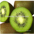 Hybrid Kiwifruit seed for growing